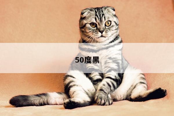 50度黑
