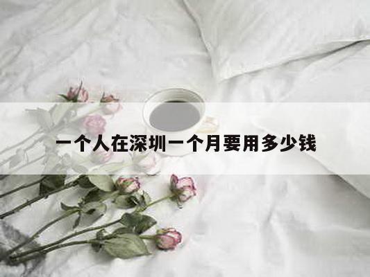 一个人在深圳一个月要用多少钱
