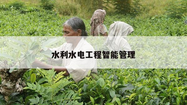水利水电工程智能管理