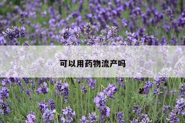 可以用药物流产吗