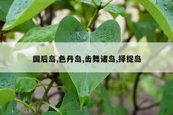 国后岛,色丹岛,齿舞诸岛,择捉岛