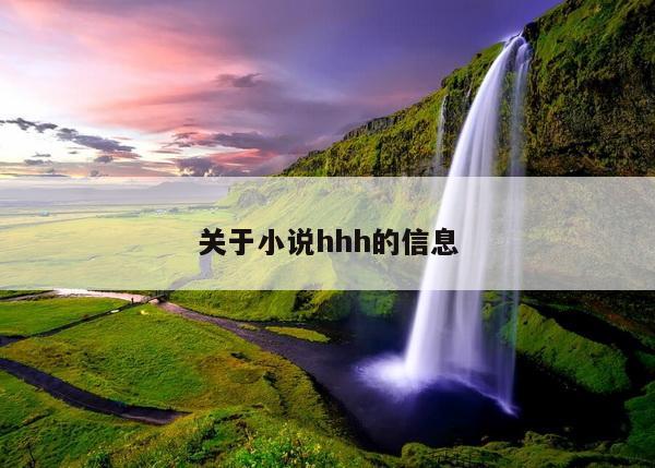 关于小说hhh的信息