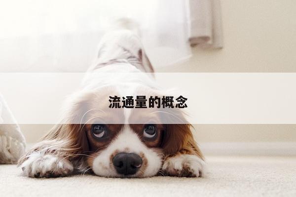 流通量的概念