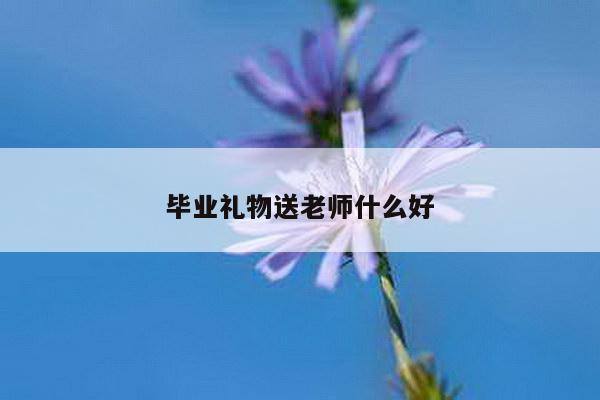 毕业礼物送老师什么好