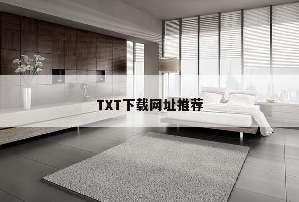 TXT下载网址推荐