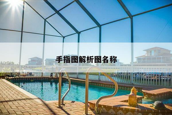 手指图解析图名称