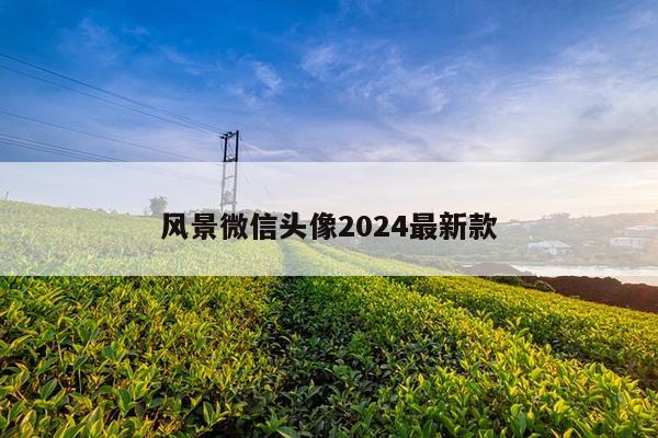 风景微信头像2024最新款