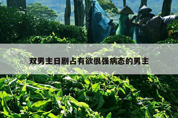 双男主日剧占有欲很强病态的男主
