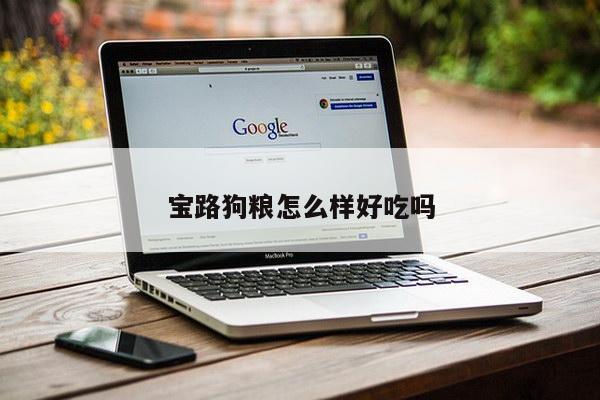 宝路狗粮怎么样好吃吗