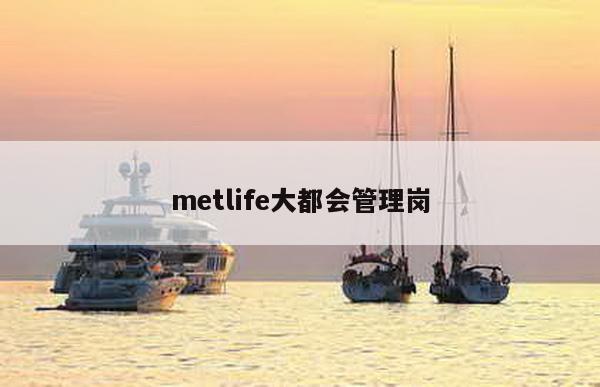 metlife大都会管理岗