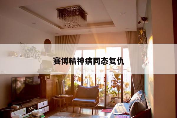 赛博精神病同态复仇