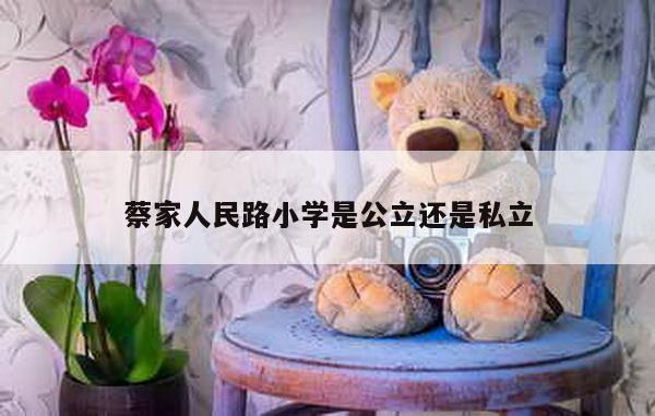 蔡家人民路小学是公立还是私立
