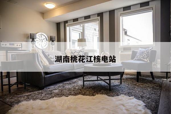 湖南桃花江核电站