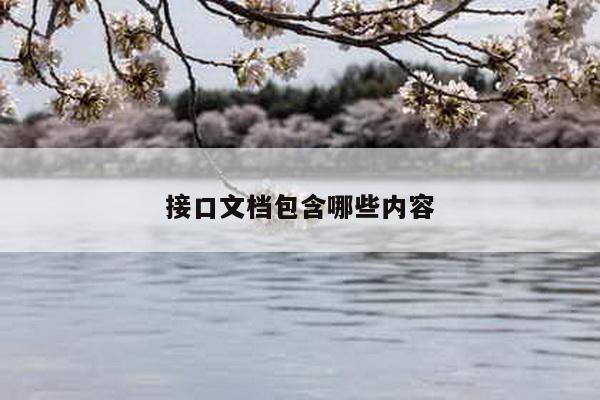 接口文档包含哪些内容