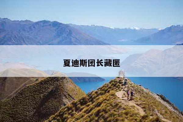 夏迪斯团长藏匿
