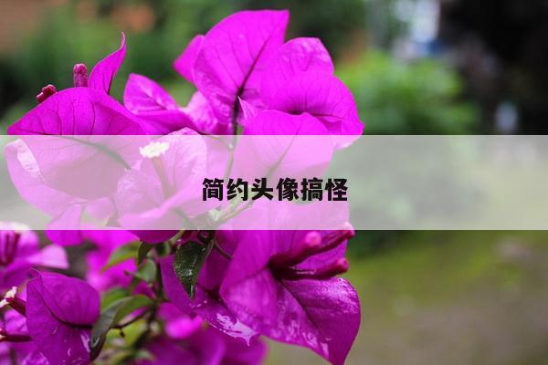 简约头像搞怪