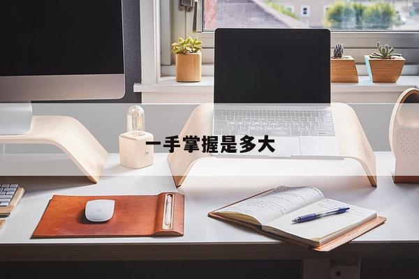 一手掌握是多大