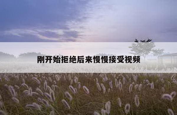 刚开始拒绝后来慢慢接受视频