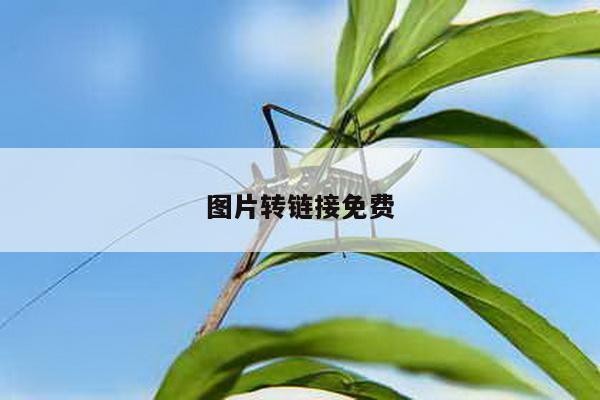图片转链接免费