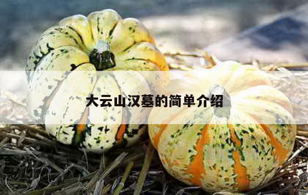 大云山汉墓的简单介绍