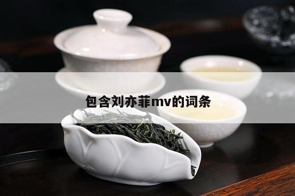包含刘亦菲mv的词条