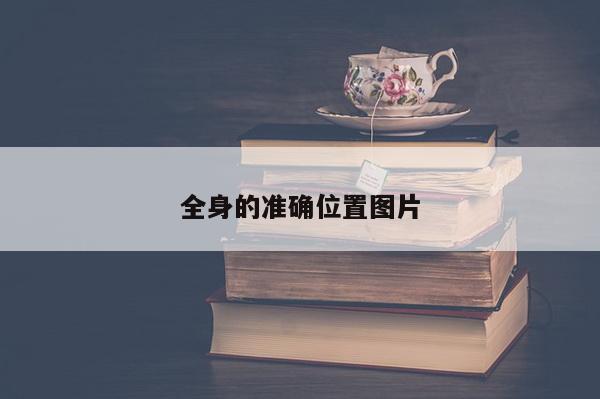 全身的准确位置图片