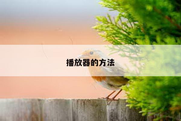 播放器的方法
