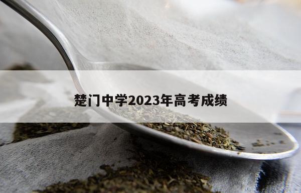 楚门中学2023年高考成绩