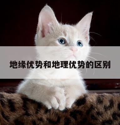 地缘优势和地理优势的区别