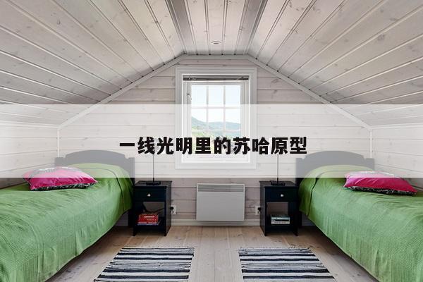 一线光明里的苏哈原型