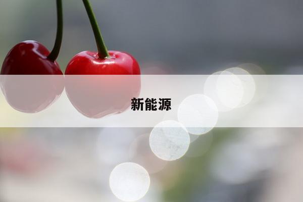 新能源