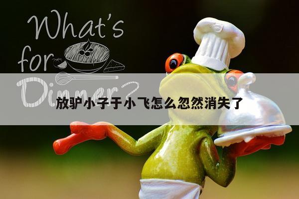 放驴小子于小飞怎么忽然消失了