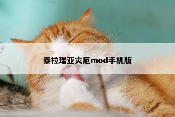 泰拉瑞亚灾厄mod手机版