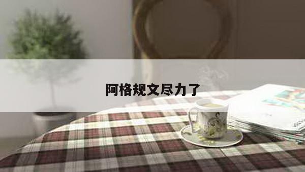 阿格规文尽力了