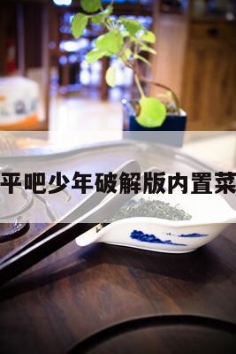 躺平吧少年破解版内置菜单