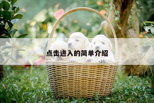 点击进入的简单介绍