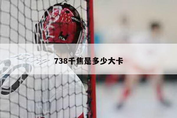 738千焦是多少大卡