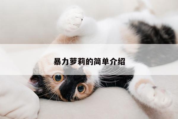 暴力萝莉的简单介绍
