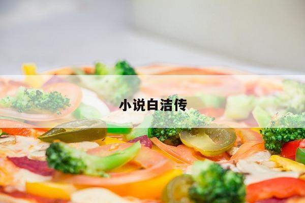 小说白洁传