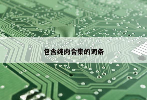 包含纯肉合集的词条