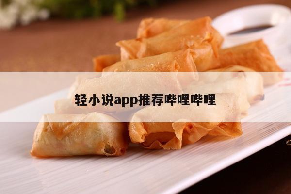 轻小说app推荐哔哩哔哩