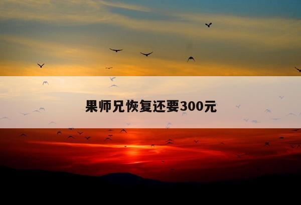 果师兄恢复还要300元