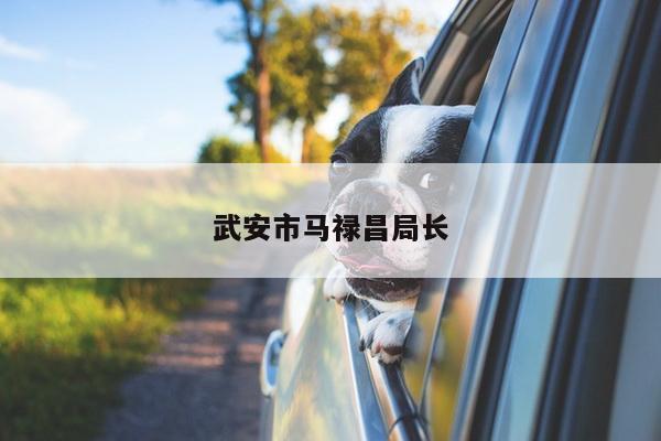 武安市马禄昌局长