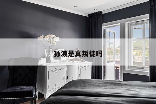 孙渡是真叛徒吗