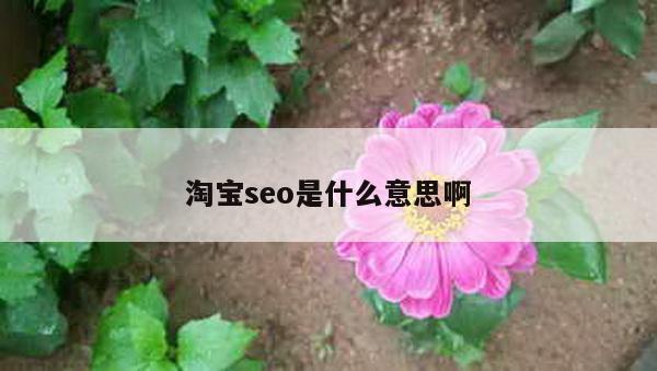 淘宝seo是什么意思啊