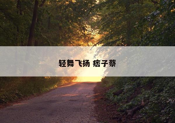 轻舞飞扬 痞子蔡