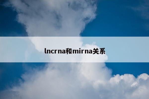 lncrna和mirna关系