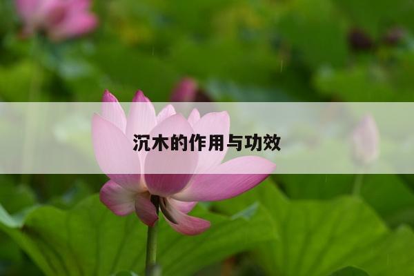 沉木的作用与功效