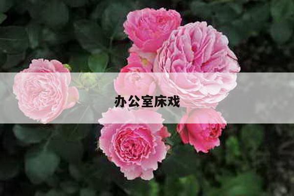 办公室床戏