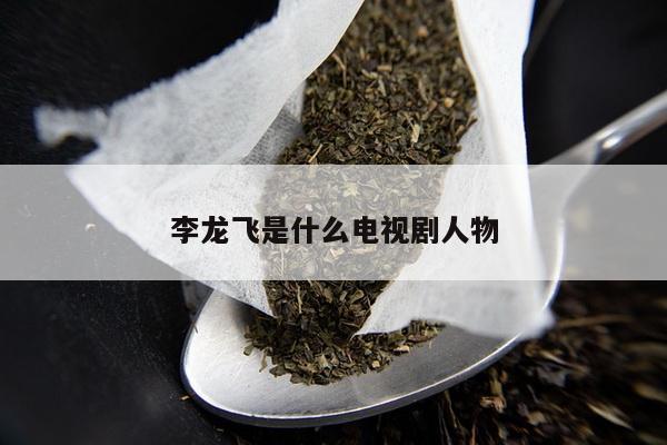 李龙飞是什么电视剧人物